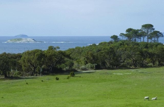 Cosy Corner Sea View Apartments Albany Buitenkant foto